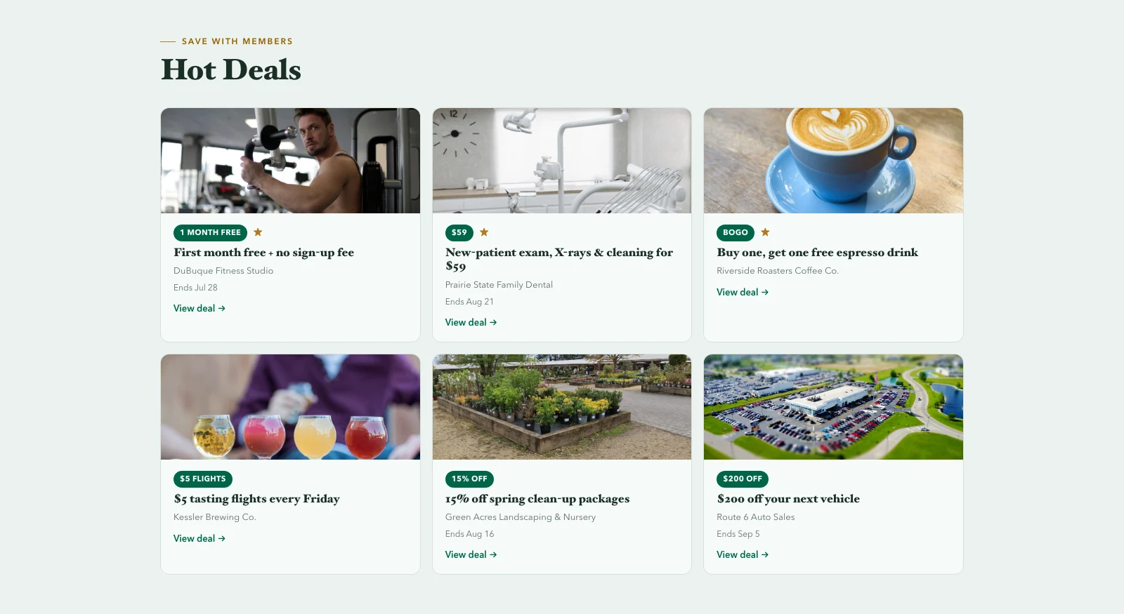 The Hot Deals grid on a live Member Marketplace — member businesses offering member-exclusive discounts with photos, badges, and expiry dates.